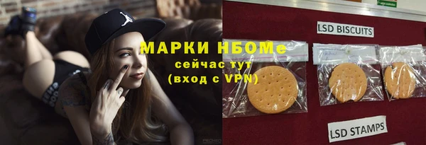 стафф Алзамай