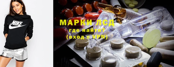 стафф Алзамай