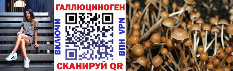 Псилоцибиновые грибы Magic Shrooms  Устюжна 