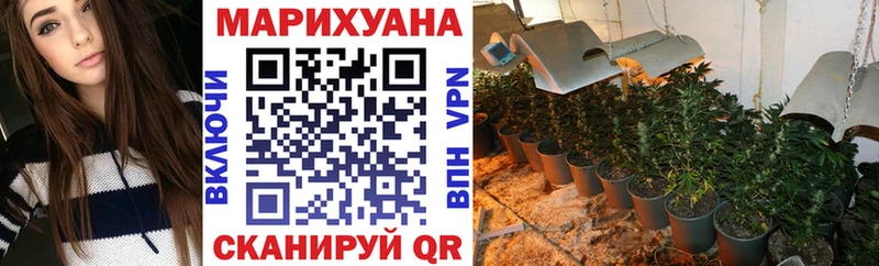 купить наркотики сайты  Устюжна  МАРИХУАНА индика 